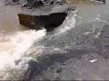 videos de Peixes subindo as Corredeiras de Porto Viória