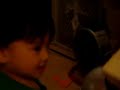 MOV00964 _DJD