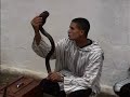 snake-charmer-in-cochin-kerala.html