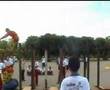 Lion Dance Montage 1