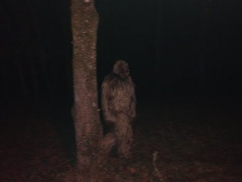 Lake Chautauqua Bigfoot Conference, History Of Trick Or Treating and UFO in Arizona