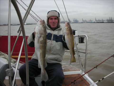 how to collect lugworm