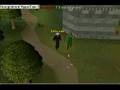 Yews worth of 1.6M!!!