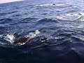 MOV01286.AVI MOV01286.AVI