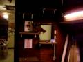 videos de Bengal cat Myah