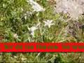 Ascenso al Taillon (2 de 3)