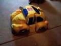 Zander-s-Bumblebee-H