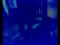 videos de radicazioni 2008 alessandria del carretto cerchiara di calabria
