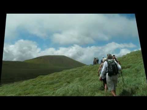 Alcohol Treatment Rehab.mp4