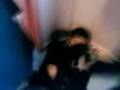 videos de bilel traumatisé