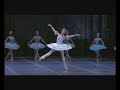 Don Quixote - Opera de ParisVariação Segundo Ato (Dulcinea)Aurelie Dupont