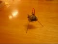 Mini Vibro Bot