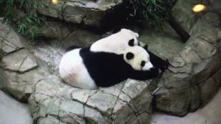 Smithsonian National Zoo