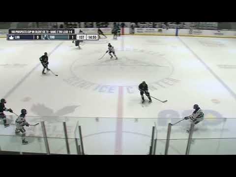 Playoff Hockey Open Ice Hit Backcheck