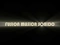 FMS logo Shine&Sound