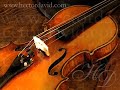 Hector David - Perfil