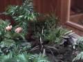 videos de Meadowgrass 8 Planter and Pond