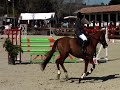 Grand prix 115, concours de Bages le 02.03.08