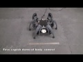 UA RNSL Intel Hexapod: 3D Balance Gestures