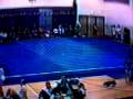 Level 6 State 1995 UB(8 8) BB (9 4) FX(9 4)