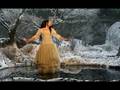 EVANESCENCE-TEACHERS