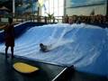tyler w flow rider wipeout