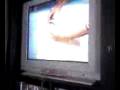 videos de Cat watches Dog Show