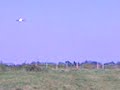 boeing 777 146 111 737 757 boeing 777 146 111 737 757