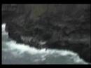 ettelsons trip to molokai