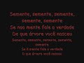 Armandinho - Semente Armandinho - Semente