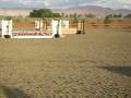 videos de Pappa Smurf @ Thermal video 2008--1;  Champion Small Hunter Pony for Sale or Lease