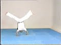 Advanced Capoeira. Mestre Paulao Ceara. 07-1