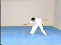 Advanced Capoeira. Mestre Paulao Ceara. 07-1