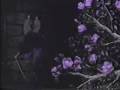 videos de Rurouni Kenshin