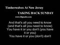 Timberwolves At New Jersey lyric Taking Back Sunday