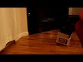 Stella tips over a box.m4v