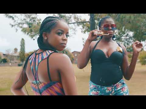 All House Walk ft. Fash Ngobese & TaFire (Comedy Music Video)