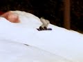 snowboarding masters snowboarding masters
