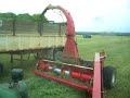 Ensilage Herbe Canada grass silage