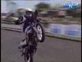 Démo stunt en 50cc au Stunt bike show 2008