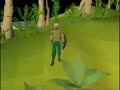 teh noob show 3 teh noob show 3