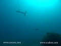 Side Scan Sonar up an underwater mine