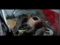 600fps映像。フトアゴヒゲトカゲのジャンプ。成功編