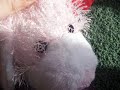 my shout-outs(to the people who love webkinz!)
