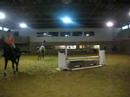 margeaux-and-darwin-1.html