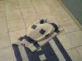 Super Happy Kitty Rug Super Happy Kitty Rug
