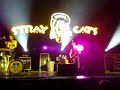 stray Cats Paris 2008 INCIDENT!!! stray Cats Paris 2008 INCIDENT!!!
