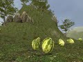 Half-Life 2 Melons - Sony Bravia Colour advert