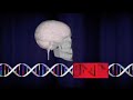 Schizophrenia Gene Puzzle Schizophrenia Gene Puzzle