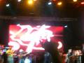 videos de daddy yankee en maracaibo